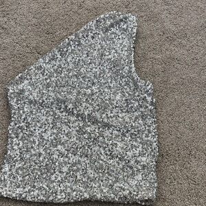 Zara Silver Sequin Top